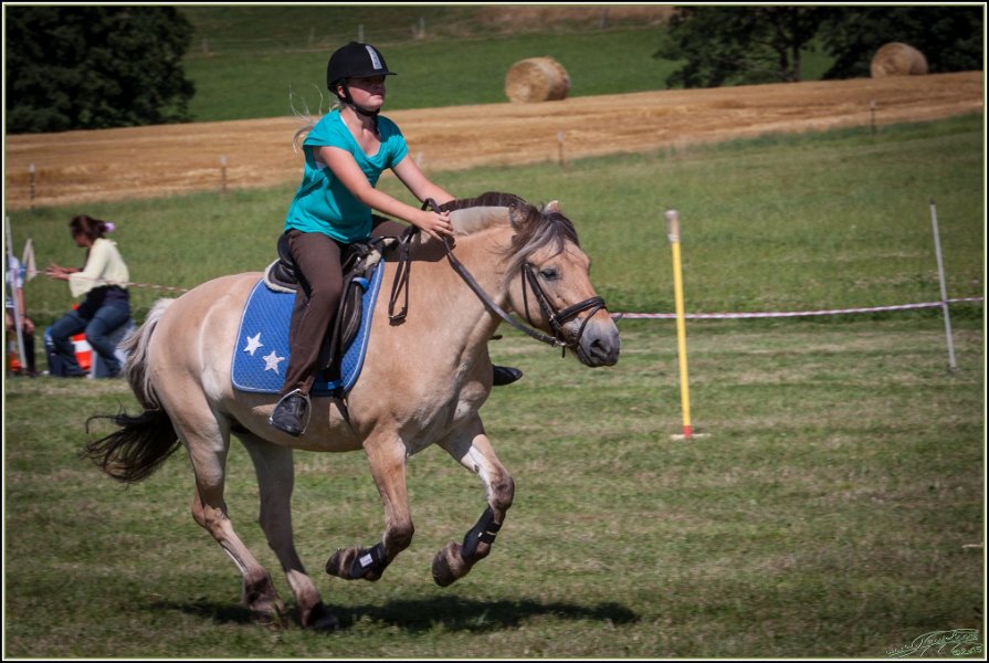 Mounted Games 269